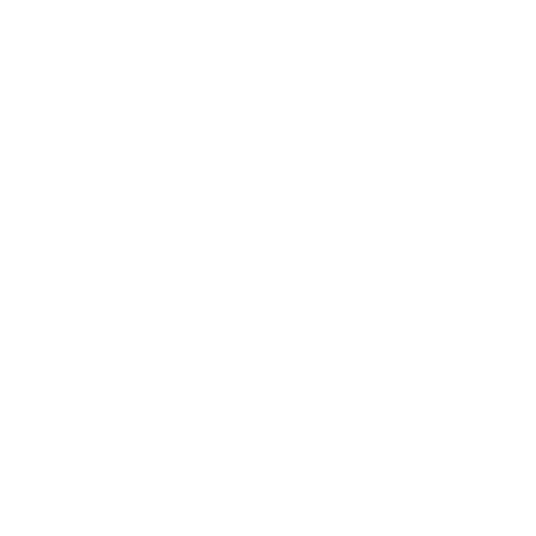 dolphinscaip.com